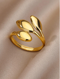 Anillo 1